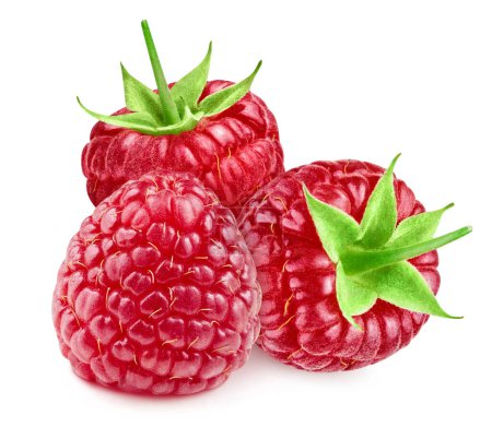Photo for Raspberry clipping path. Raspberry isolated on white background. Raspberry studio macro shooting - Royalty Free Image