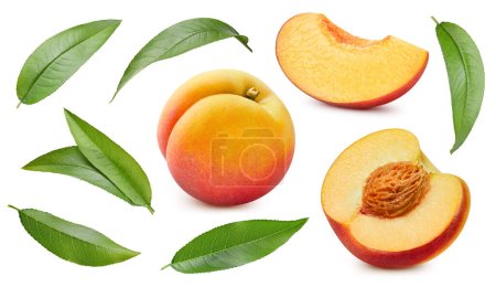 Téléchargez les photos : Isolated peach. Fresh organic peach with leaves isolated clipping path. Peach macro studio photo - en image libre de droit