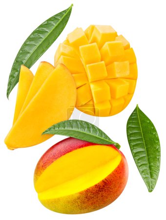Photo for Mango with a leaf exotic fruit with slice isolated on white background. Clipping Path. Full depth of field. - Royalty Free Image