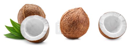 Téléchargez les photos : Noix de coco fraîche avec des feuilles isolées sur fond blanc, noix de coco sur fond blanc avec chemin de coupe. - en image libre de droit