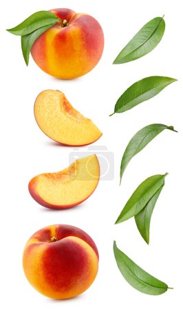 Peach collection Clipping Path. Peach isolated on white background. Peach studio macro shooting
