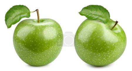 Téléchargez les photos : Belles pommes vertes avec des feuilles sur la tige. Deux pommes pour votre design. Chemin de coupe des pommes vertes - en image libre de droit