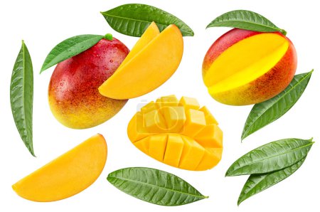 Photo for Flying ripe mango with green leaves isolated on white background. Mango collection with clipping path. Mango stack full depth of field macro shot. - Royalty Free Image