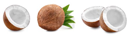 Coconut collection Clipping Path. Coconut isolated on white background. Coconut studio macro shooting