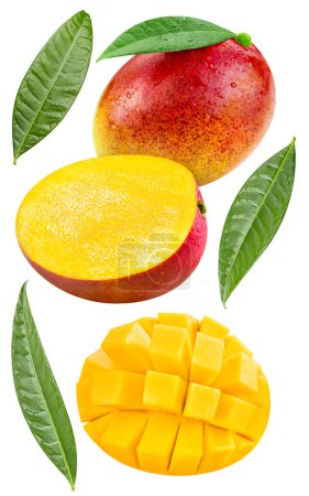 Foto de Mango orgánico aislado sobre fondo blanco. Pruebe el mango con hoja. con la ruta de recorte - Imagen libre de derechos