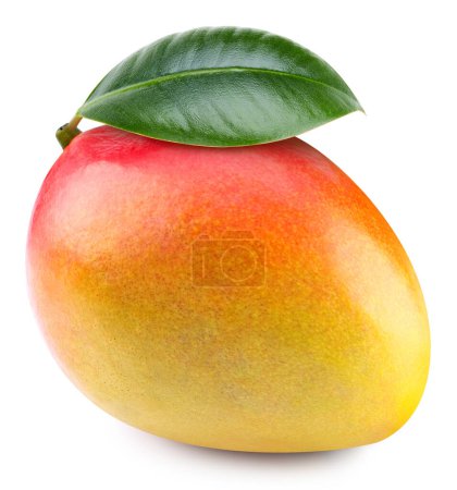 Téléchargez les photos : Mango. Fresh organic mango isolated on white background. Mango macro - en image libre de droit