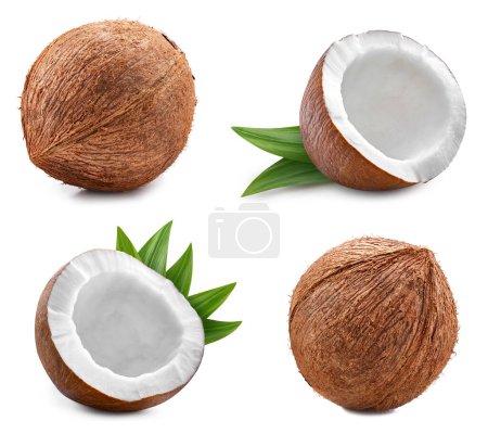 Téléchargez les photos : Collection noix de coco. Noix de coco avec chemin de coupe isolé sur un fond blanc. Fruits frais biologiques. Profondeur de champ complète - en image libre de droit