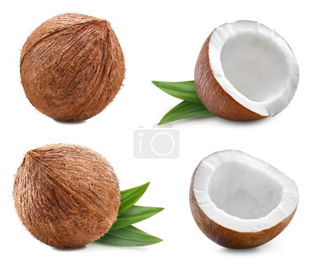 Coconut Clipping Path. Ripe whole coconut with green leaf isolated on white background. Coconut macro studio photo