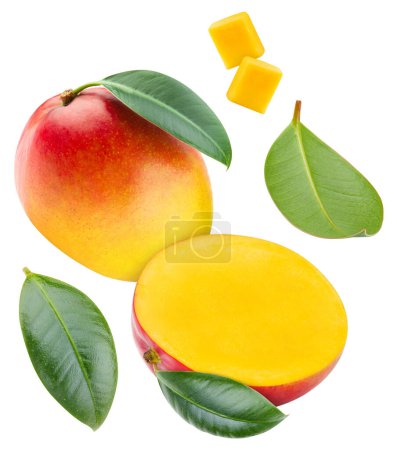 Téléchargez les photos : Fresh mango with leaves isolated on white background, mango on white background with clipping path. - en image libre de droit