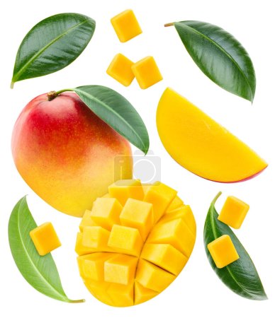 Fruto maduro de mango aislado sobre fondo blanco. Composición de mango con camino de recorte. Mango macro estudio foto