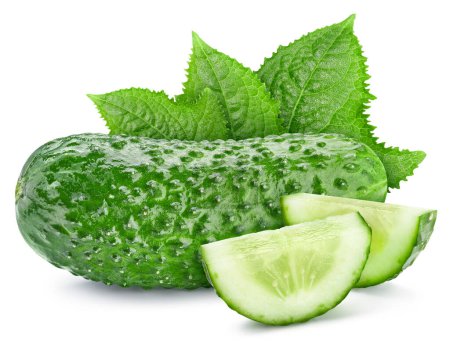 Photo for Cucumber isolate. Cucumber on a white background. Cucumber slice with clipping path. - Royalty Free Image