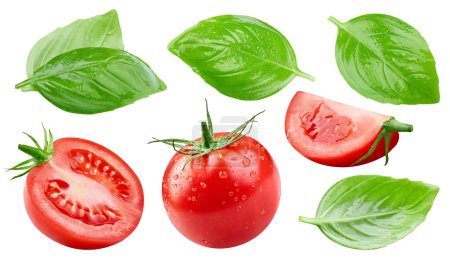 Photo for Tomato vegetable isolated on white background. Tomato and leaves basil composition with clipping path. Tomato macro studio photo - Royalty Free Image