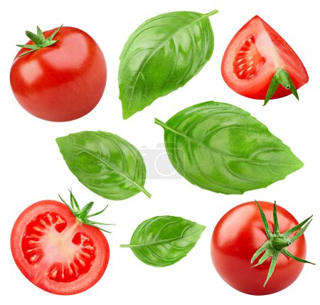 Foto de Set de tomate con hojas de albahaca sobre fondo blanco. Tomate con ruta de recorte. - Imagen libre de derechos