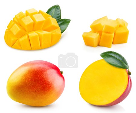 Mango isolated. Mango on white. Full depth of field. With clipping path