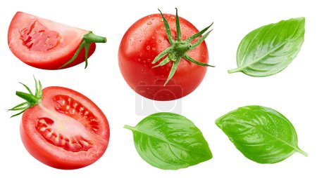 Foto de Tomate húmedo aislado. Tomate con hojas de balsil aisladas sobre fondo blanco con ruta de recorte - Imagen libre de derechos
