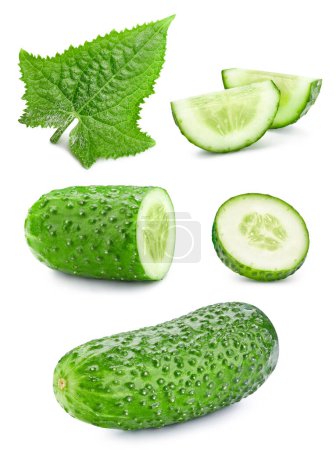 Photo for Cucumber. Cucumber with leaves isolated on white background. Cucumber with clipping path - Royalty Free Image
