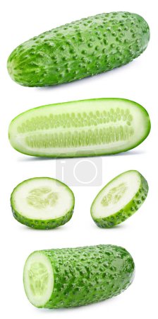 Photo for Cucumber clipping path. Organic fresh cucumber isolated on white. Full depth of field - Royalty Free Image