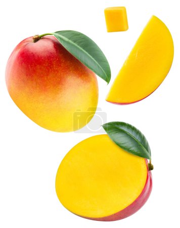 Photo for Mango isolated on white background. Mango fruit clipping path. Mango slice macro studio photo - Royalty Free Image