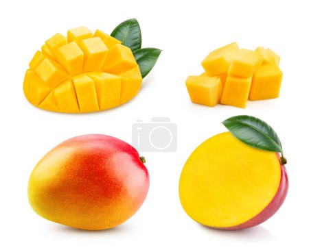 Photo for Mango collection isolated. Mango on white. Full depth of field. With clipping path. - Royalty Free Image