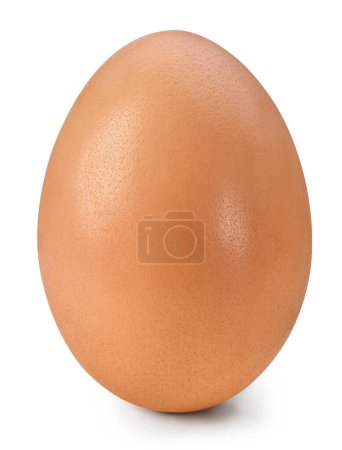 Foto de Huevo aislado sobre fondo blanco. Huevo recorte de huevo Path.Chicken huevo - Imagen libre de derechos