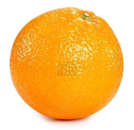 Foto de Frutos anaranjados aislados sobre fondo blanco. Camino de recorte naranja - Imagen libre de derechos