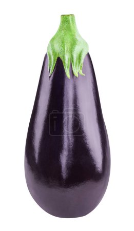 Photo for Ripe fresh raw purple eggplants on white background. on white background - Royalty Free Image