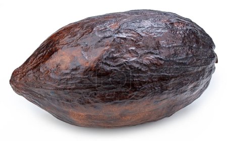 Téléchargez les photos : Cacao fruits gousse isolée sur fond blanc. Cacao gousse Isolé avec chemin de coupe. Photo de qualité pour votre projet. - en image libre de droit