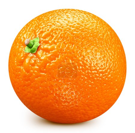 Photo for Orange isolated on white background. Orange citrus fruit clipping path. Orange macro studio photo - Royalty Free Image