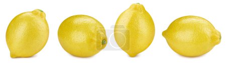 Téléchargez les photos : Collection citron agrumes. Citron isolé sur fond blanc. Pleine profondeur de champ. Avec chemin de coupe - en image libre de droit