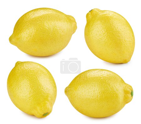 Photo for Lemon isolated on white. Ripe fresh lemon clipping path. Lemon collection - Royalty Free Image