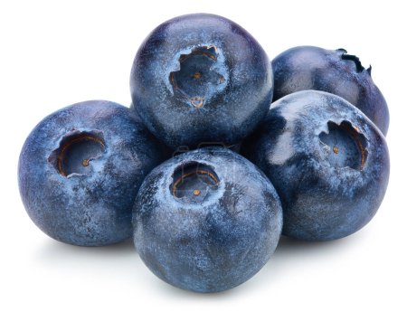Photo for Blueberry Isolated with clipping path on a white background. Quality photo for your project. - Royalty Free Image