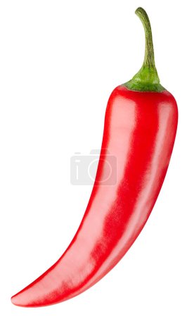 Photo for One chili hot pepper clipping path. Fresh red pepper. Chili pepper isolated on a white background - Royalty Free Image