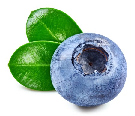 Photo for Blueberries and leaves isolated on white. Tasty blueberry Clipping Path. Fresh ripe blueberry - Royalty Free Image