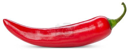 Photo for Chili pepper isolated on a white background. One chili hot pepper clipping path. Fresh pepper - Royalty Free Image