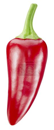 Photo for Chili pepper clipping path. Red pepper isolated on a white background - Royalty Free Image