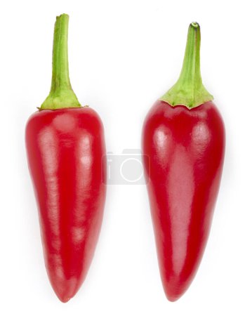 Photo for Two chili hot pepper clipping path. Fresh red pepper. Chili pepper isolated on a white background - Royalty Free Image