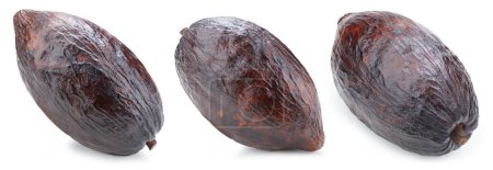 Photo for Cacao pod collection isolated on white background. Cacao pod Isolated with clipping path - Royalty Free Image