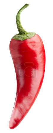 Foto de Un camino de corte de chile picante. Pimienta roja fresca. Pimienta de chile aislada sobre fondo blanco - Imagen libre de derechos