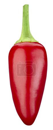 Photo for Chili pepper isolated on a white background. One chili hot pepper clipping path. - Royalty Free Image