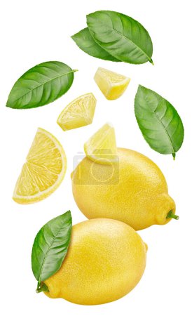 Téléchargez les photos : Tranches de citron mûres isolées sur fond blanc. Citron mûr avec des feuilles clipping chemin. Fruits de citron volant. - en image libre de droit