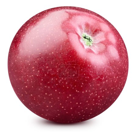 Foto de Manzanas rojas aisladas sobre fondo blanco. Manzanas maduras frescas Recorte Camino - Imagen libre de derechos