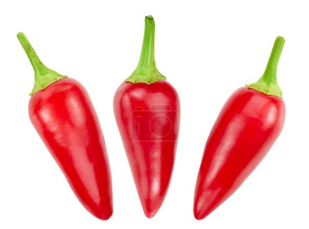 Photo for Chili isolated on white. Ripe fresh chili collection Clipping Path - Royalty Free Image