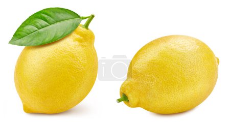 Photo for Lemon and green leaves isolated on white background. Clipping path lemon. Lemon collection macro studio photo - Royalty Free Image