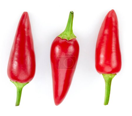 Photo for Red chili pepper isolated on white background. Hot spice, red chili pepper clipping pat - Royalty Free Image