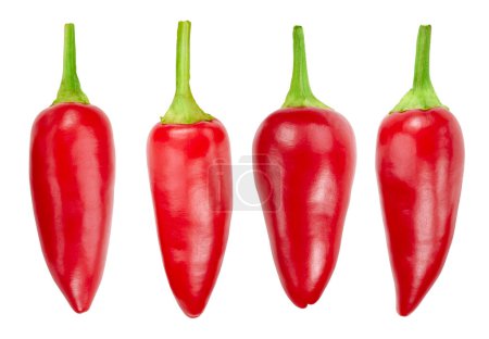 Photo for Red hot organic chili pepper collection. Chili pepper clipping path. Natural chili pepper macro studio photo. Full depth of field - Royalty Free Image