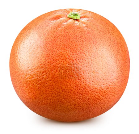 Photo for Grapefruit. Fresh organic grapefruit isolated on white background. Grapefruit macro - Royalty Free Image