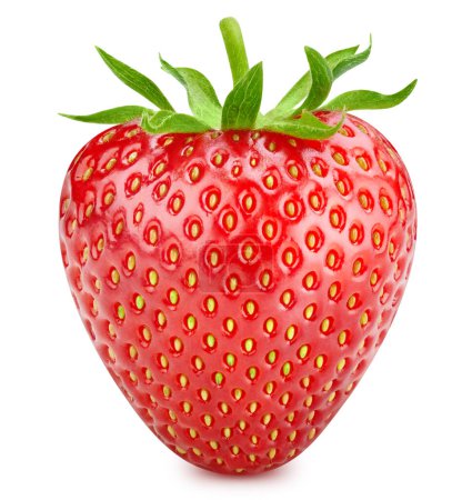 Téléchargez les photos : Fraise isolée. Fruit à la fraise entière isolé sur fond blanc avec chemin de coupe. - en image libre de droit