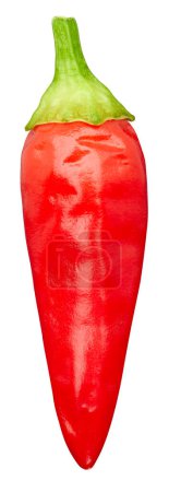 Foto de Pimienta picante roja aislada sobre fondo blanco. Camino de corte de pimienta de Cayena. Chilli macro estudio foto - Imagen libre de derechos