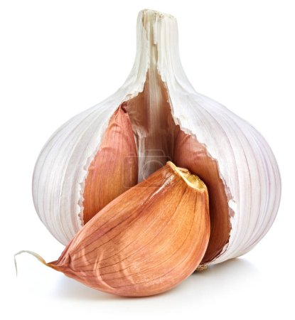 Photo for Fresh garlic isolated on white background. Garlic with clipping path - Royalty Free Image