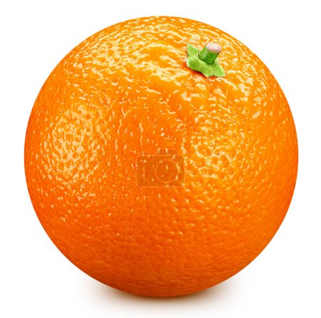 Photo for Orange fruits on white background. File contains clipping path. - Royalty Free Image